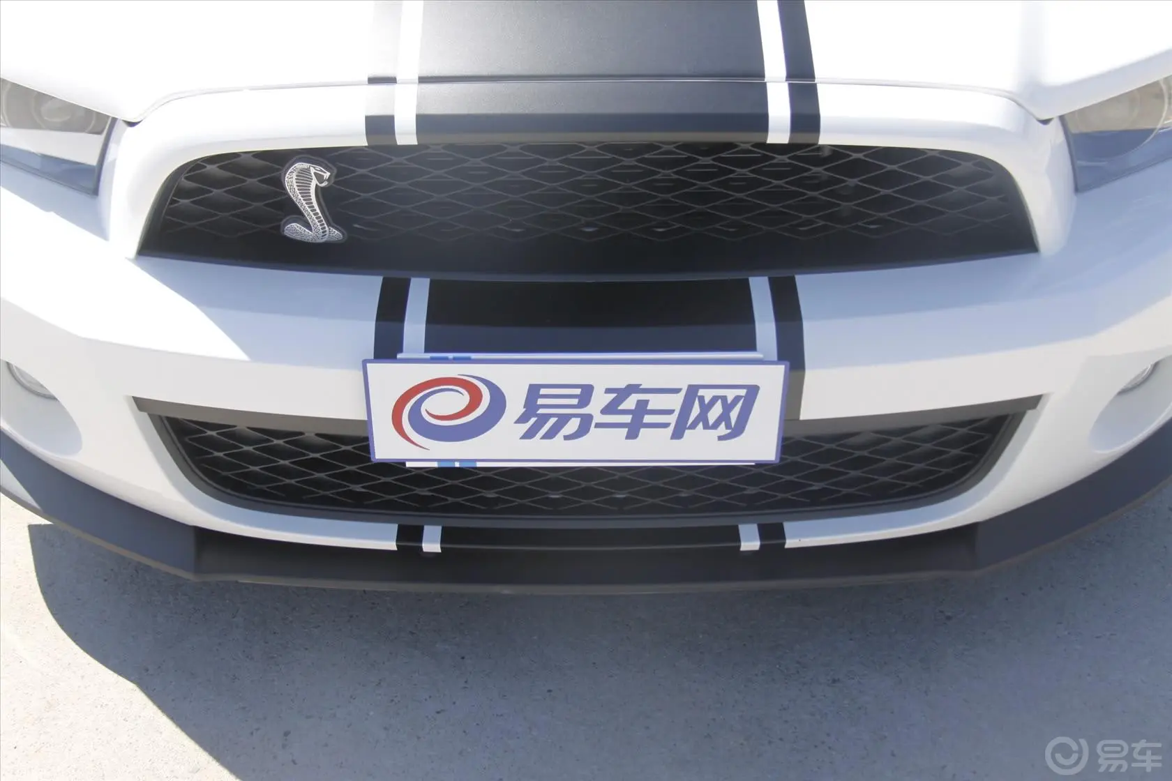 MustangShelby V8 5.4L 手动 豪华版 SVT改装前格栅侧俯拍