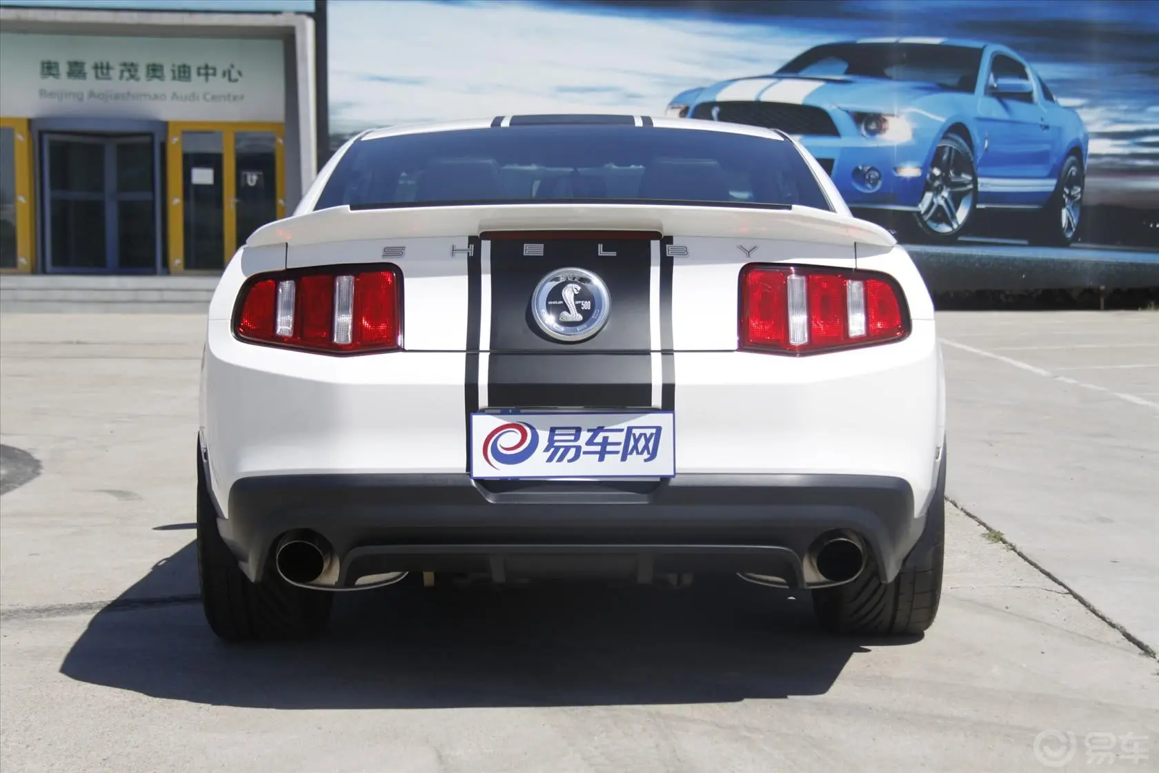 MustangShelby V8 5.4L 手动 豪华版 SVT改装正后水平