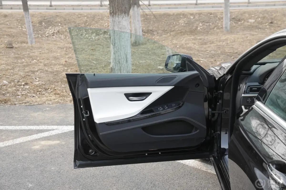 宝马6系650i xDrive Gran Coupe驾驶员侧车门内门板