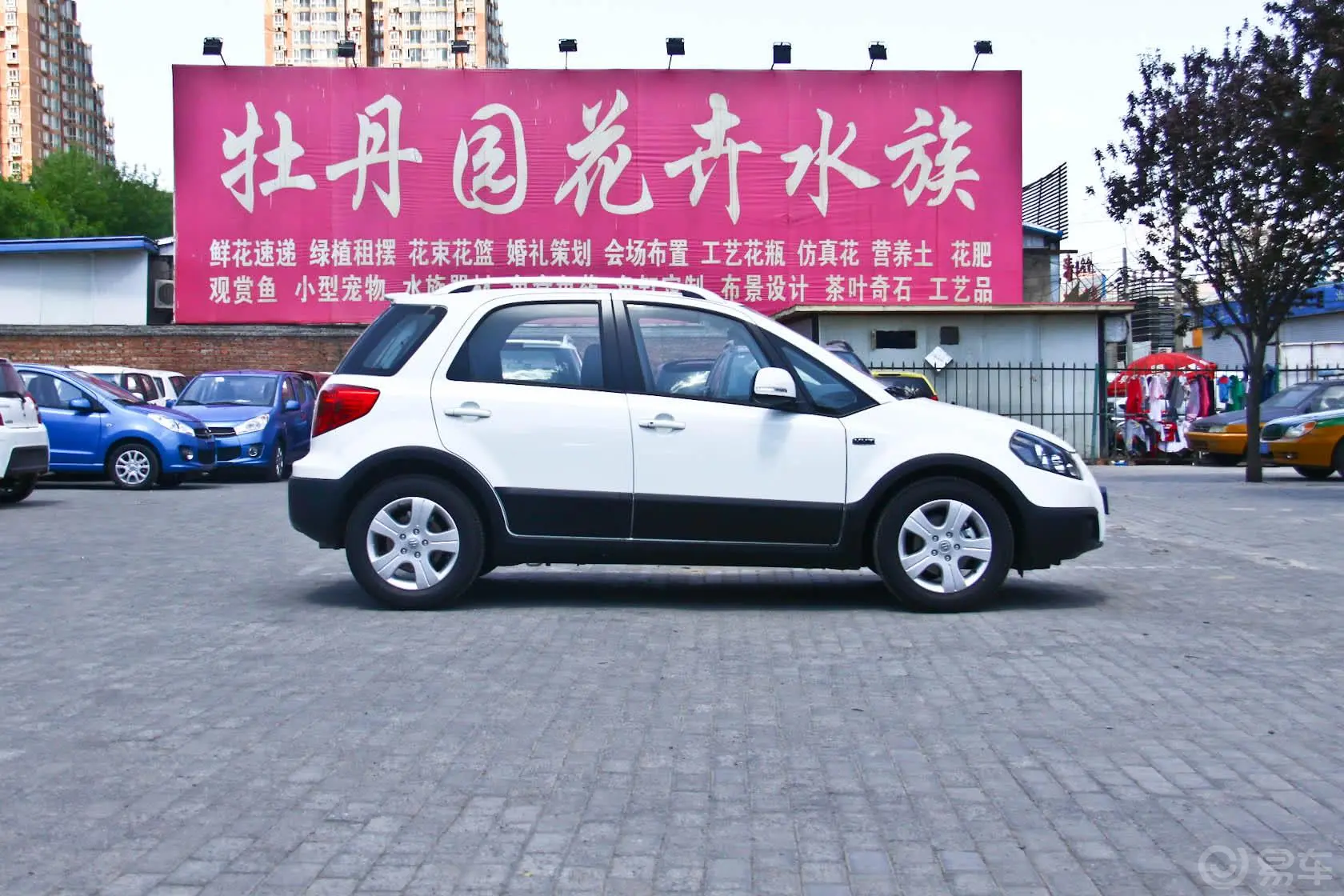 天语 SX4锐骑 1.6L 自动基本型正侧车头向右水平