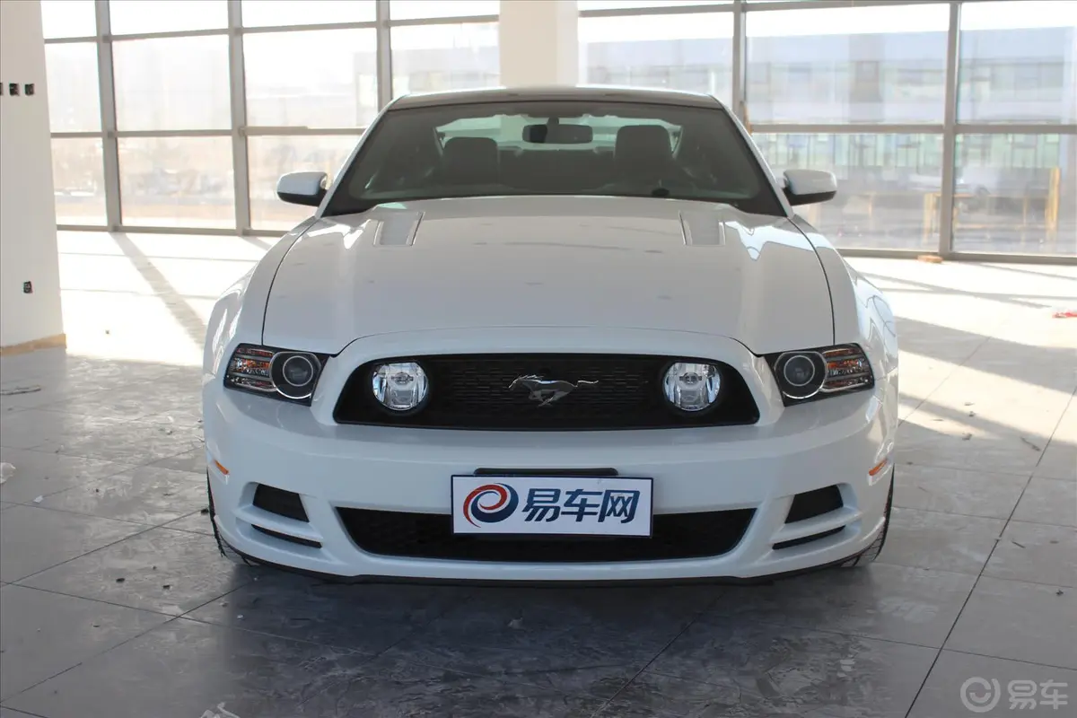 Mustang5.0L 自动 GT正前水平