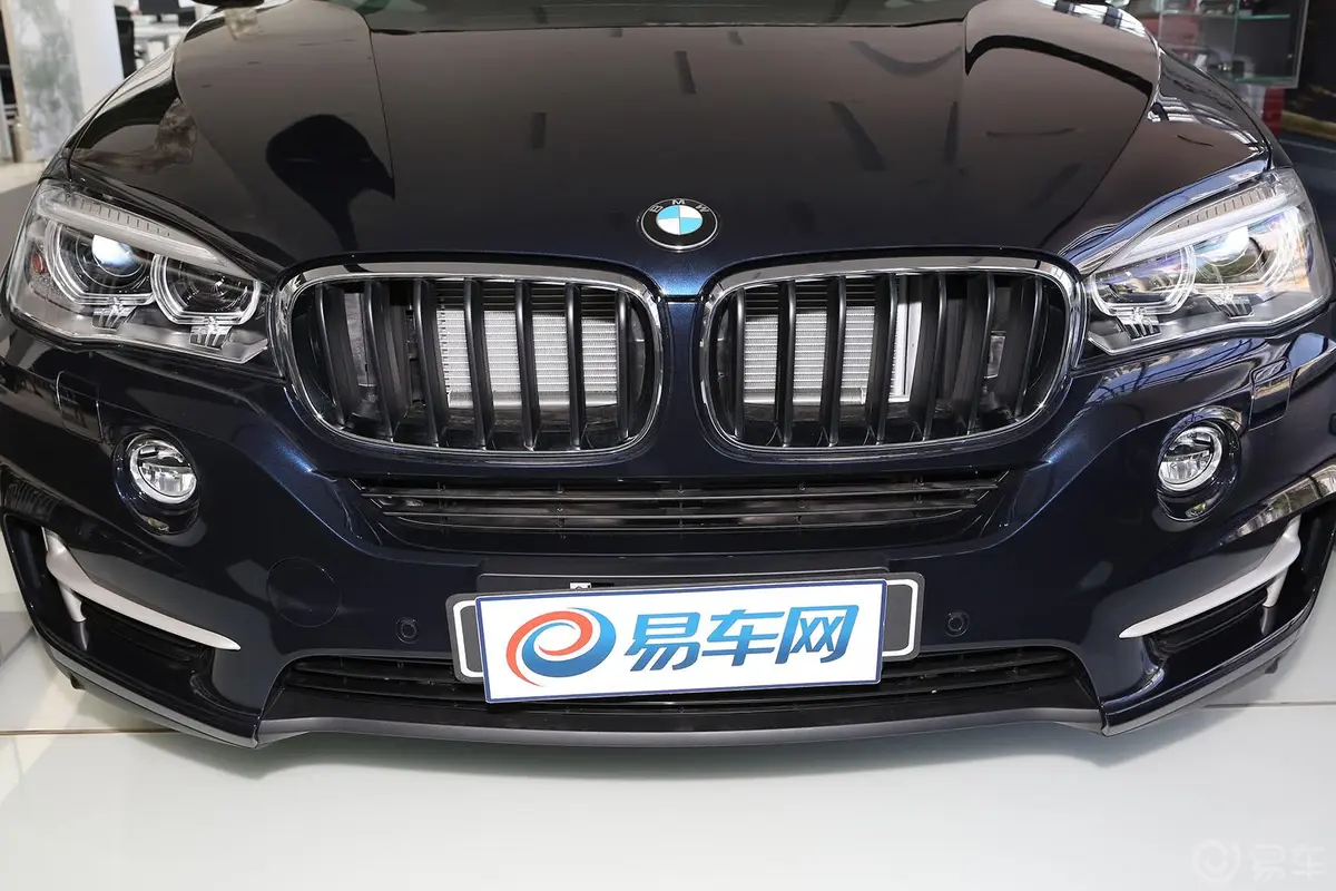 宝马X5(进口)xDrive35i 领先型前格栅侧俯拍