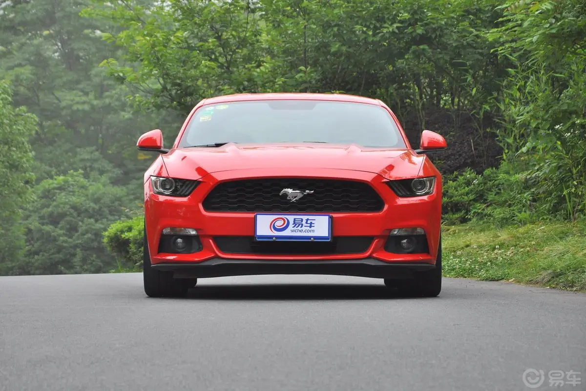 Mustang2.3L 手自一体 50周年纪念版正前水平