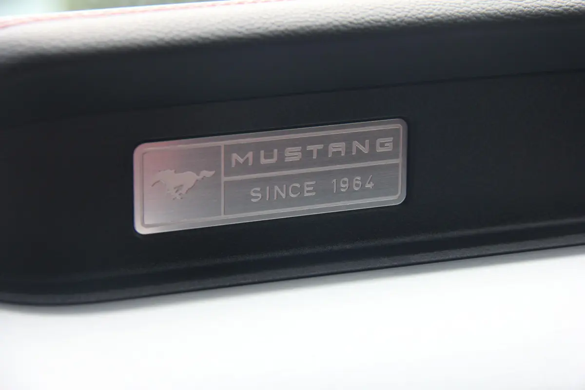 Mustang5.0L GT 手自一体 性能版内饰