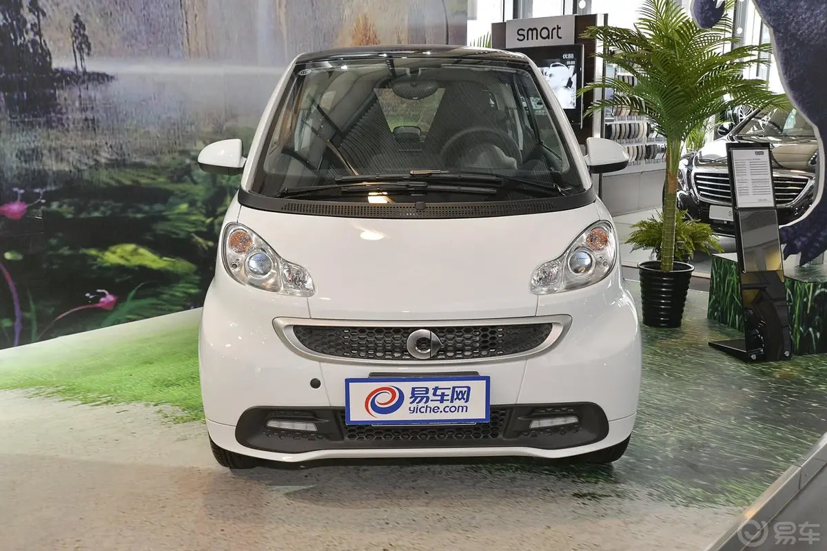 smart fortwo1.0 MHD 硬顶城市光波激情版正前水平