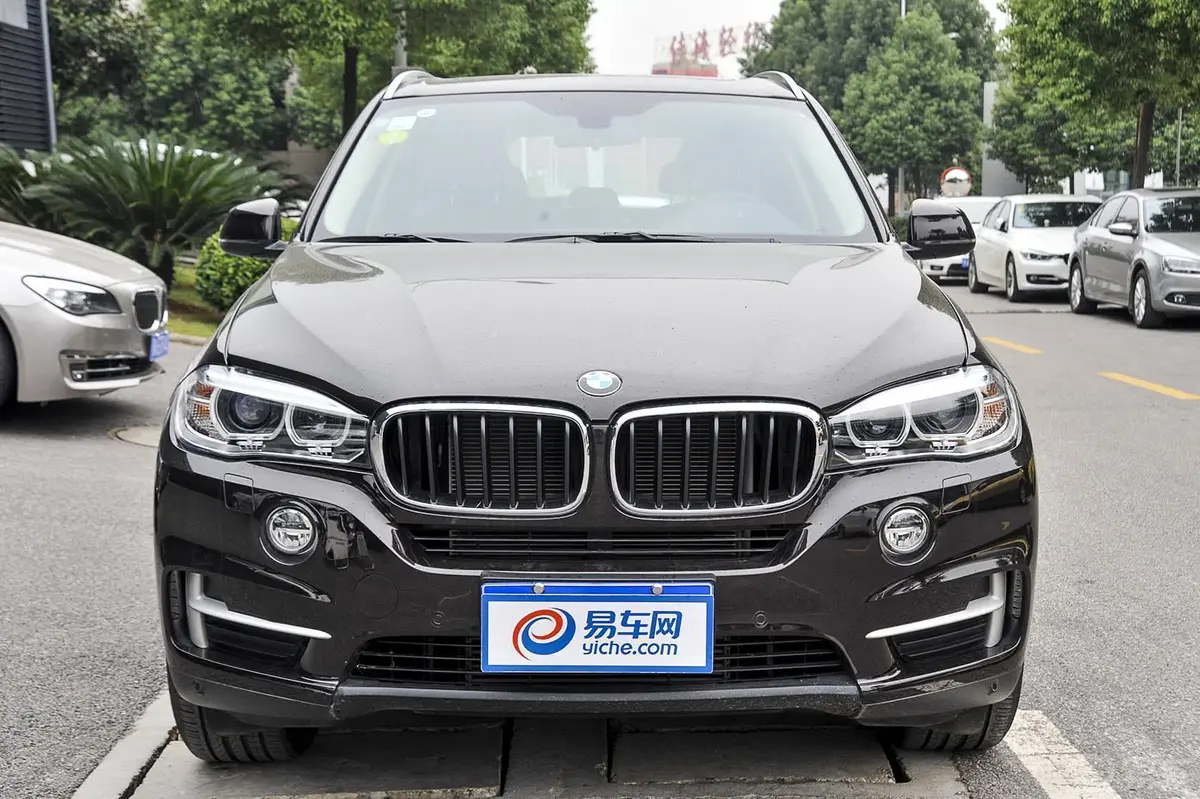 宝马X5(进口)xDrive35i 领先型正前水平