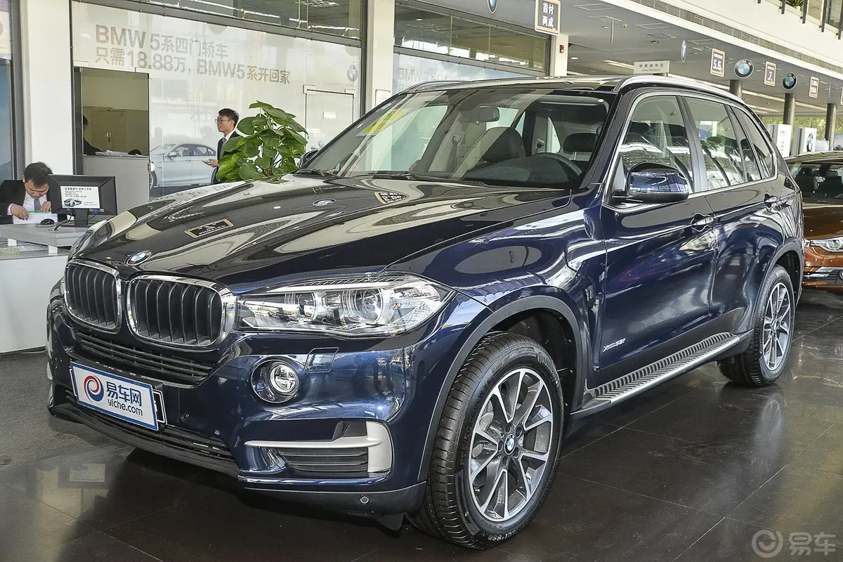 宝马X5(进口)xDrive35i 领先型侧前45度车头向左水平