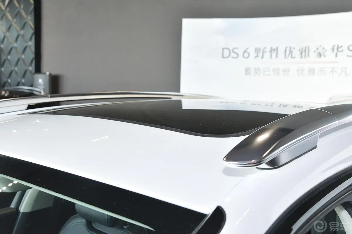 DS 61.6T 豪华版THP160外观