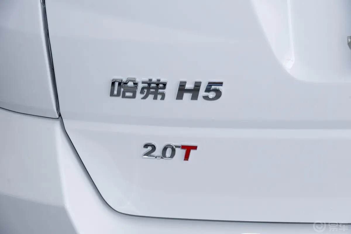 哈弗H5经典经典版 2.0T 手动 两驱 精英型尾标