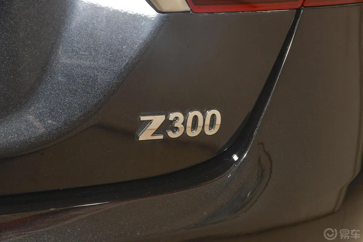 众泰Z300新视界版 1.5L 手动 尊贵型尾标