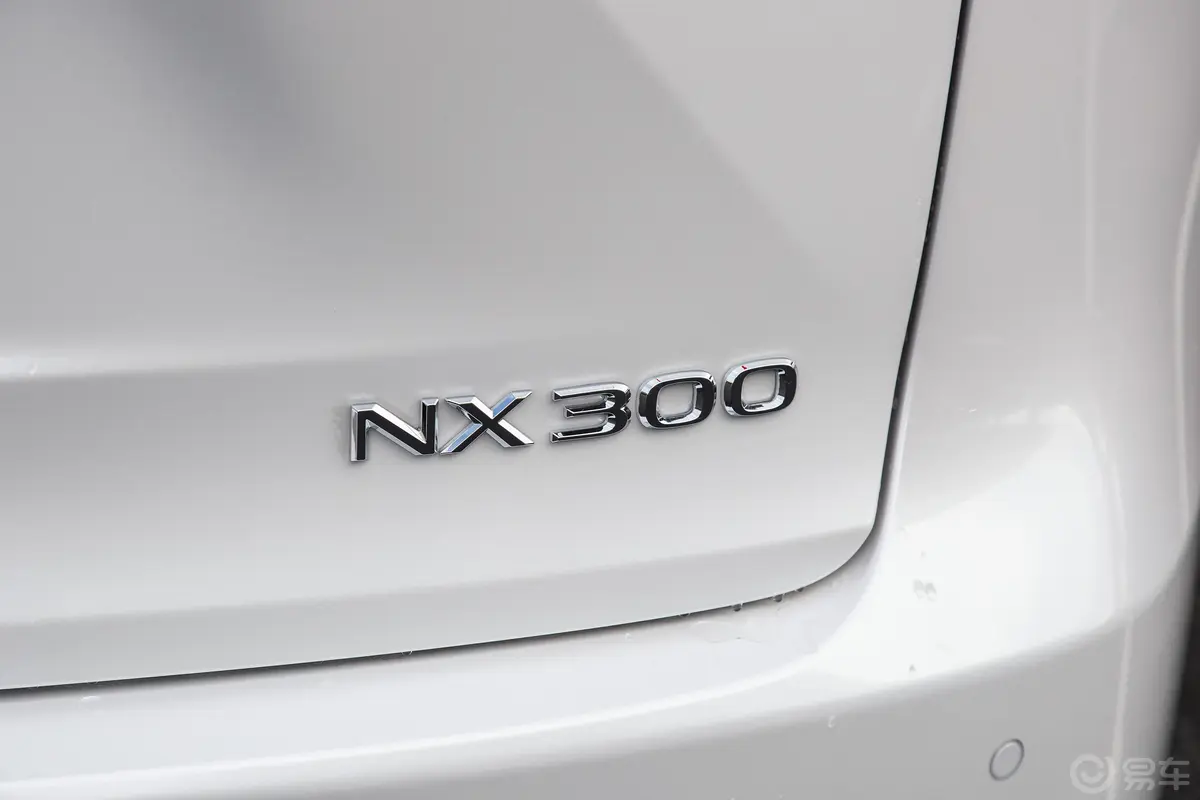 雷克萨斯NXNX 300 锋行版外观