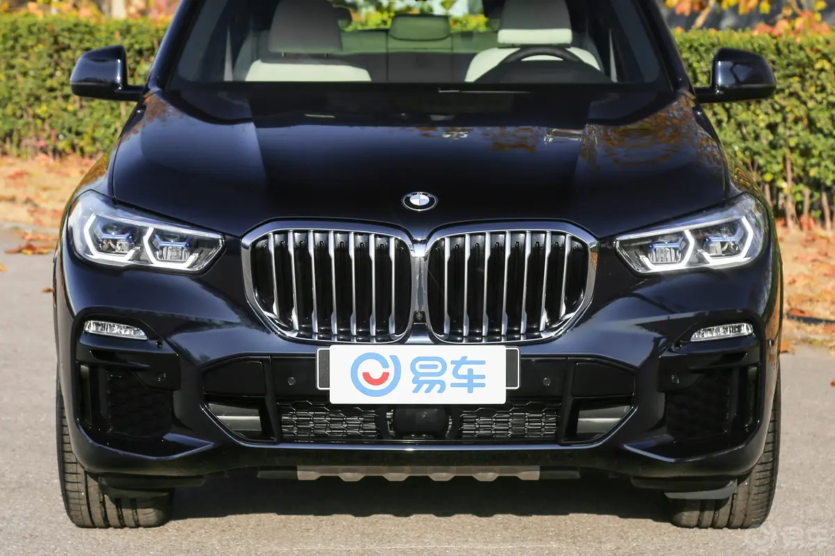 宝马X5(进口)xDrive40i 尊享版 M运动套装外观