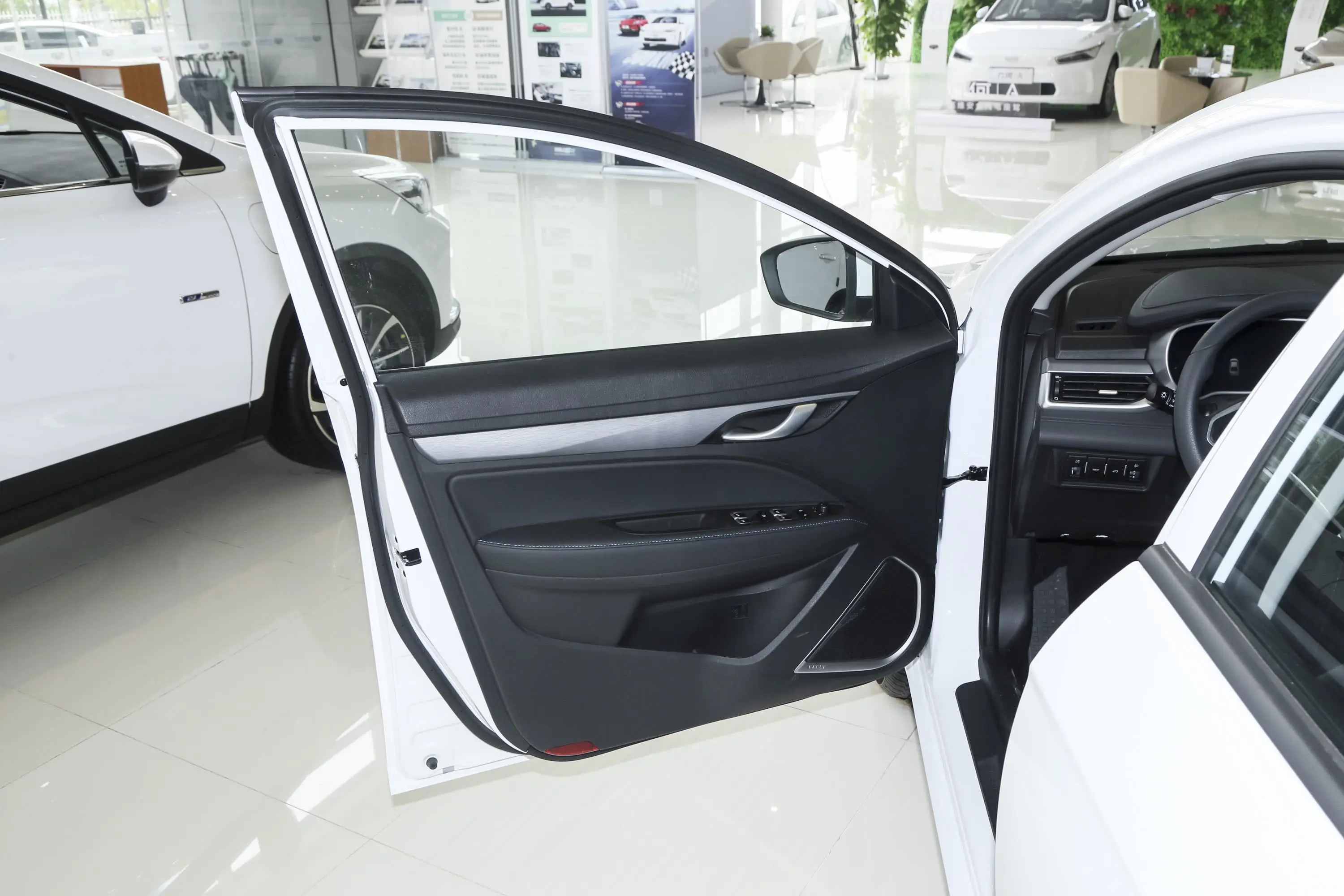 帝豪EVEV500 进取型标准续航版驾驶员侧前车门