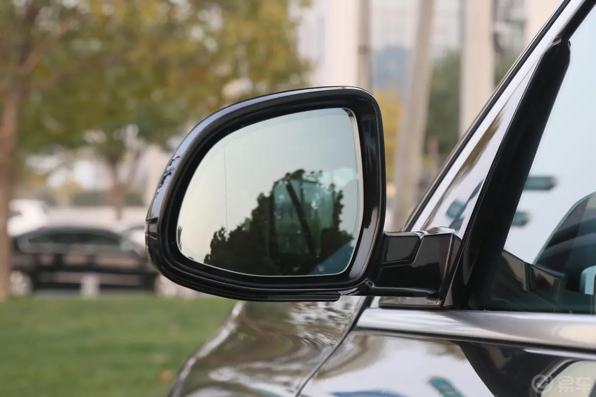 宝马X5(进口)xDrive30i X设计套装后视镜镜面