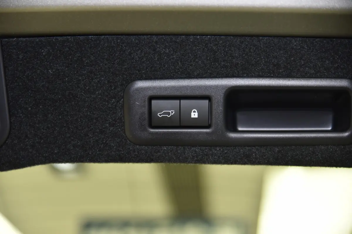 雷克萨斯RX300 舒适版 国VI电动尾门按键（手动扶手）