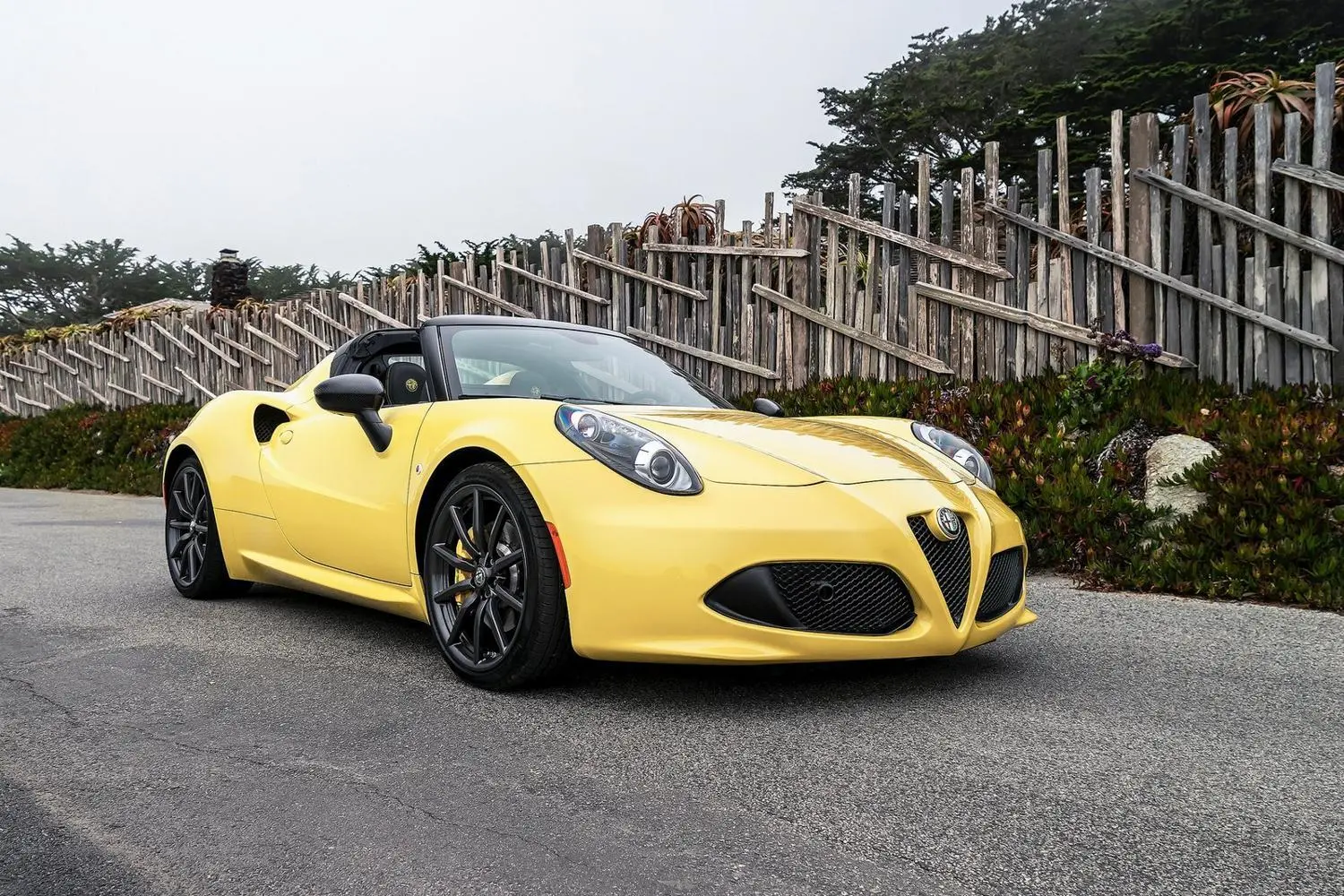 ALFA 4C