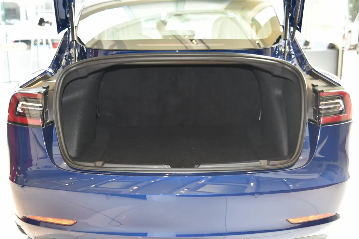 Model 3标准续航后轮驱动升级版后备厢空间特写