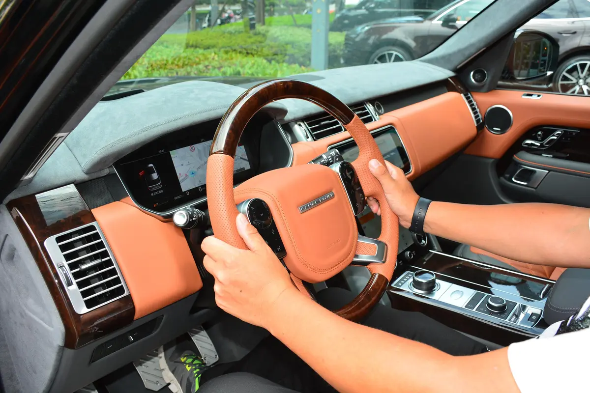 迈莎锐揽胜3.0T Black Carbon主驾驶位