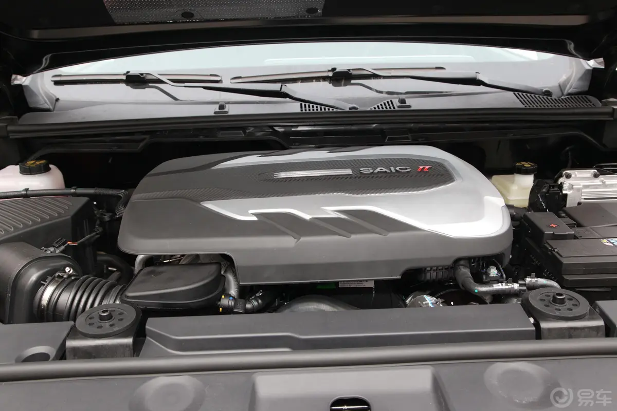 大通T902.0T 自动两驱单增压长箱高底盘舒享型 柴油发动机特写