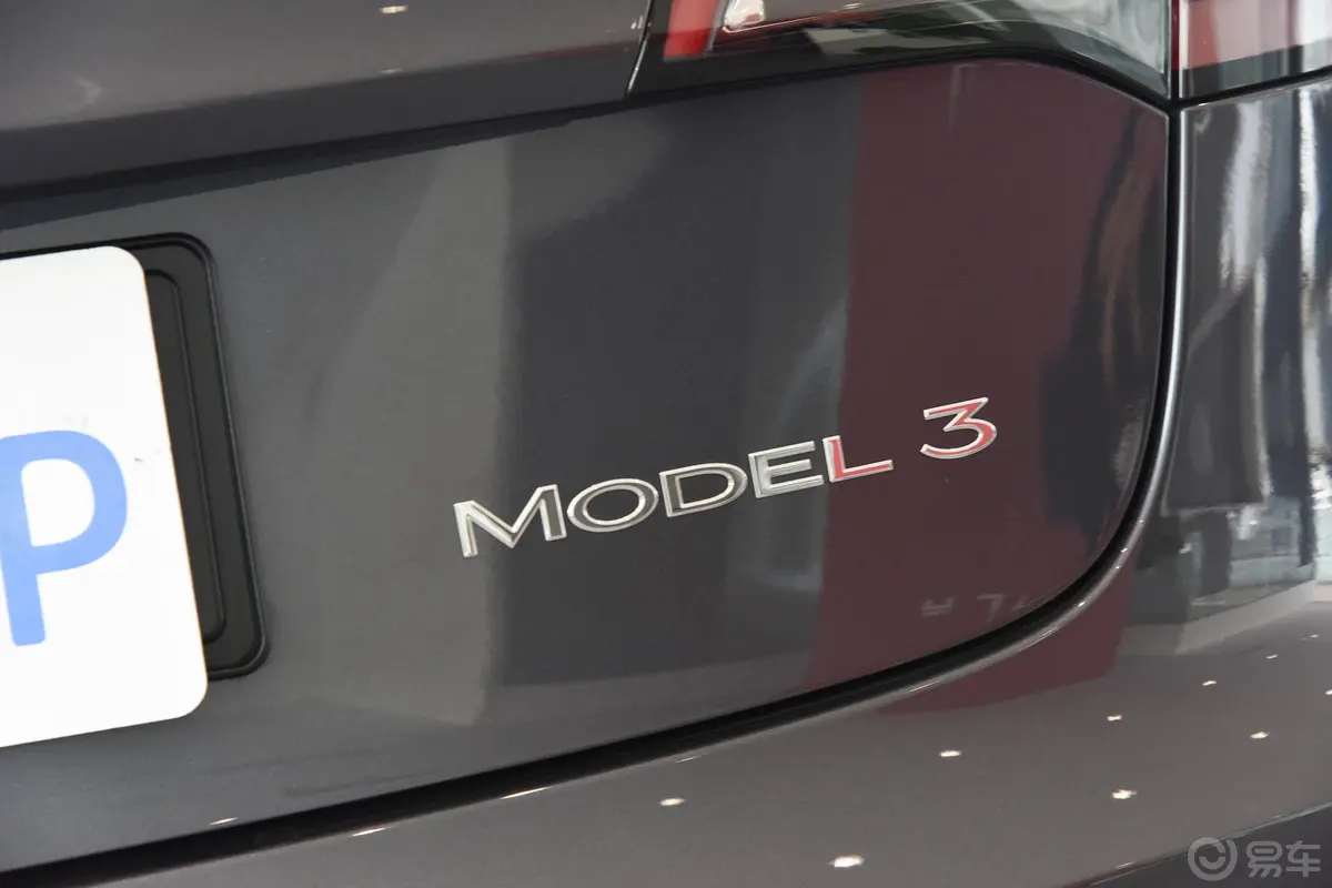 Model 3标准续航后驱升级版 3D6外观