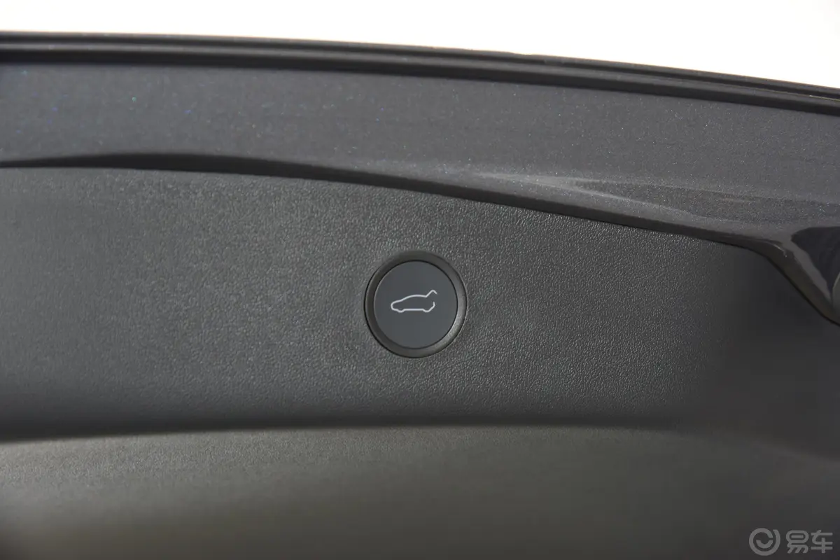 Model 3标准续航后驱升级版 3D6电动尾门按键（手动扶手）