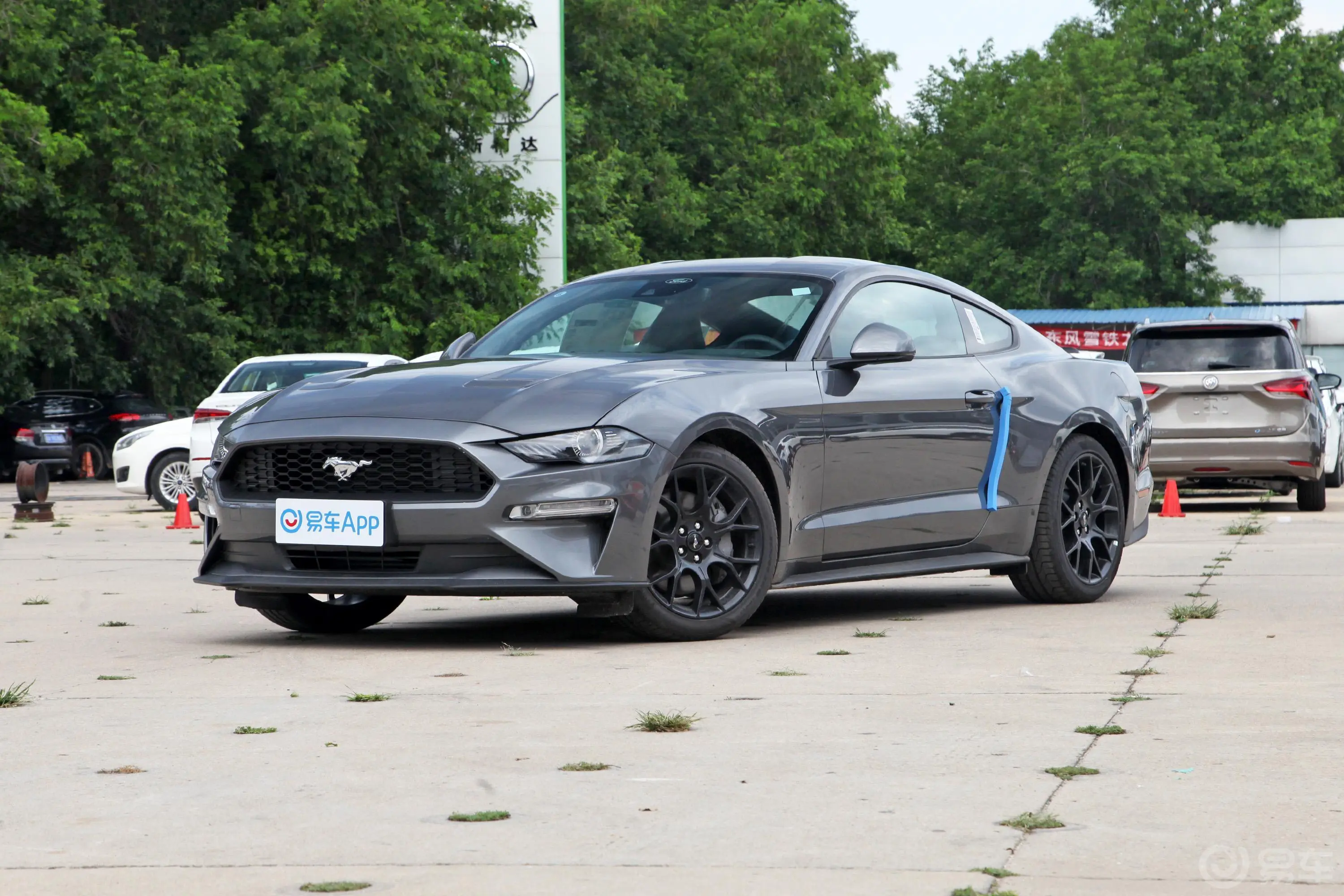 Mustang2.3T 基本版正前水平