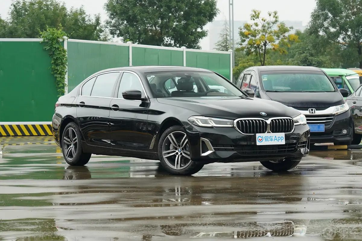 宝马5系530Li xDrive 豪华套装驾驶员侧后门把手