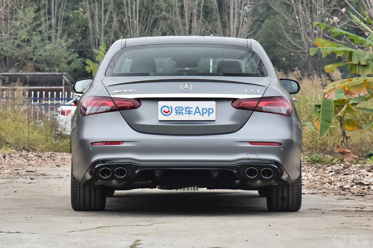 奔驰E级 AMGAMG E 53 4MATIC+正后水平