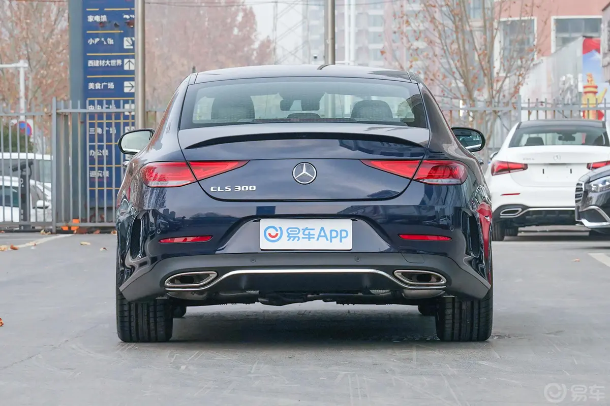 奔驰CLS级改款 CLS 300 豪华型外观