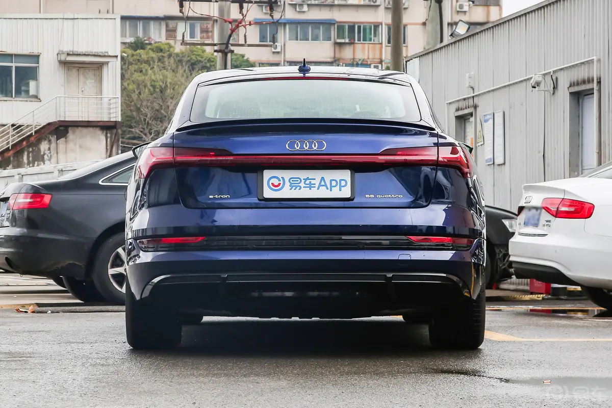 奥迪e-tron(进口)Sportback 55 quattro 豪华型正后水平