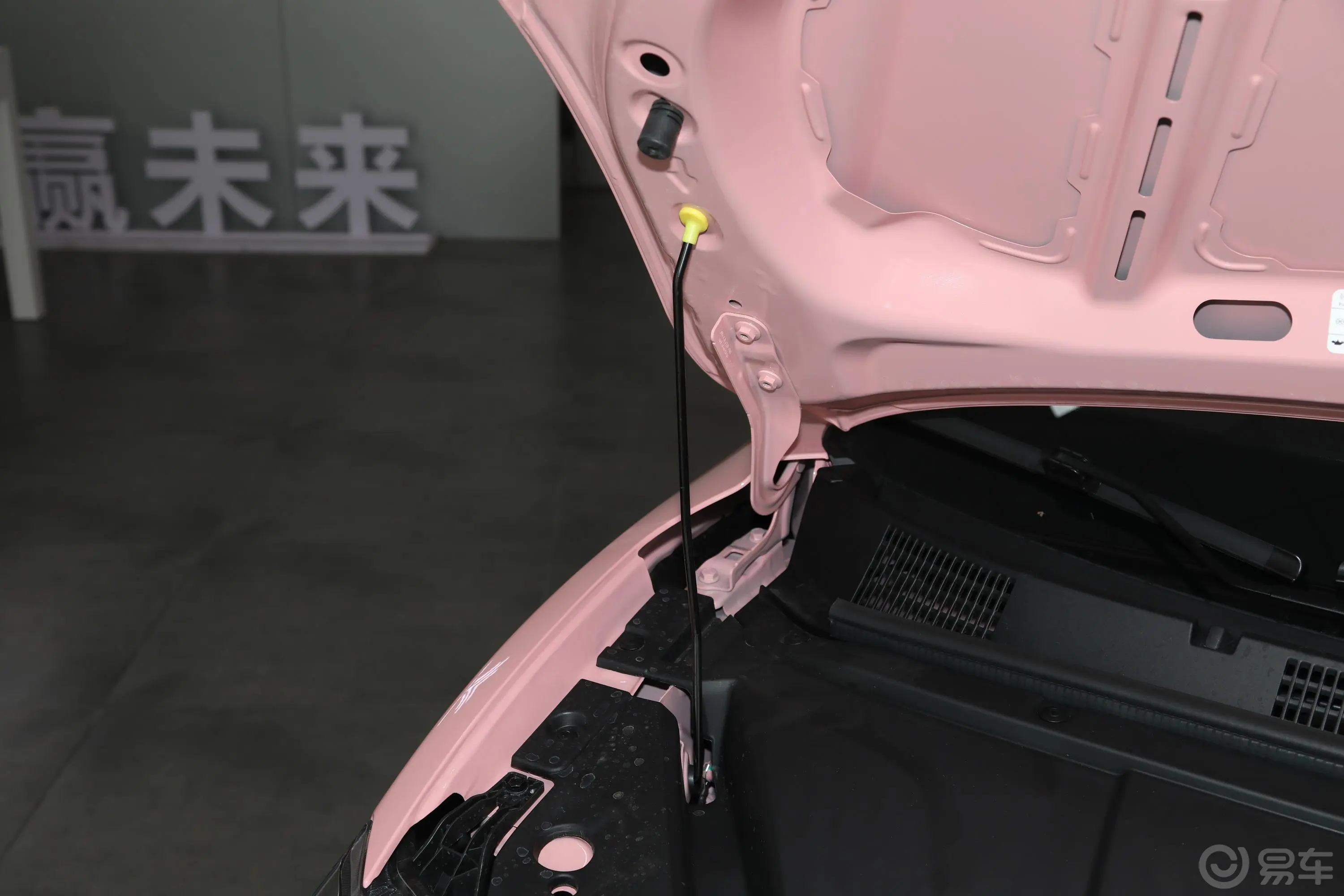 哪吒V潮 400 Lite 粉色定制款 三元锂动力底盘