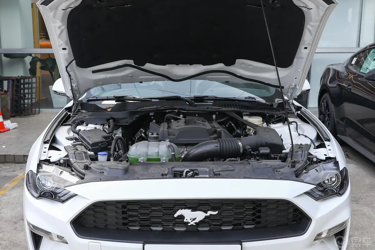 Mustang2.3T 元光极昼限量版发动机舱整体