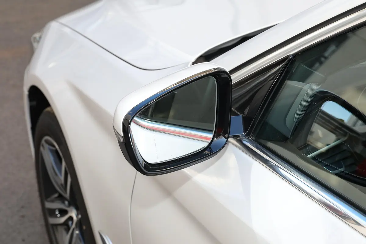 宝马5系改款二 530Li xDrive 豪华套装后视镜镜面