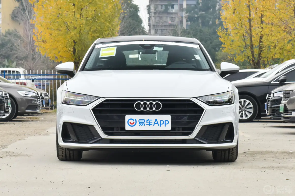 奥迪A740 TFSI 豪华型正前水平