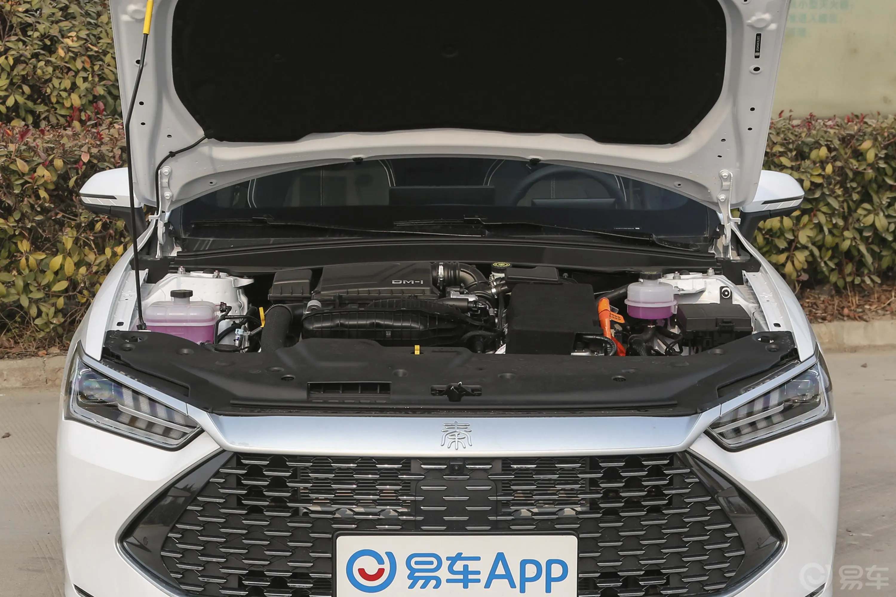 秦PLUS新能源DM-i 冠军版 1.5L 120km 超越型发动机舱整体