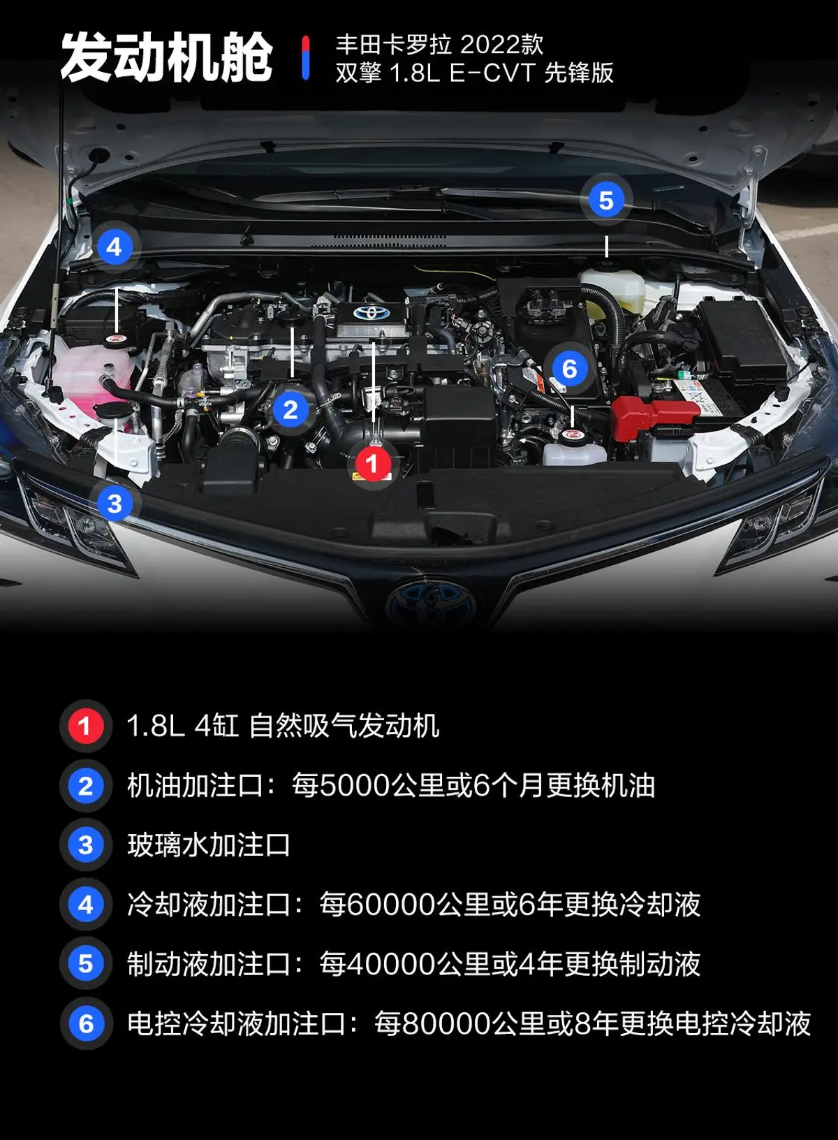 卡罗拉双擎 1.8L E-CVT 先锋版