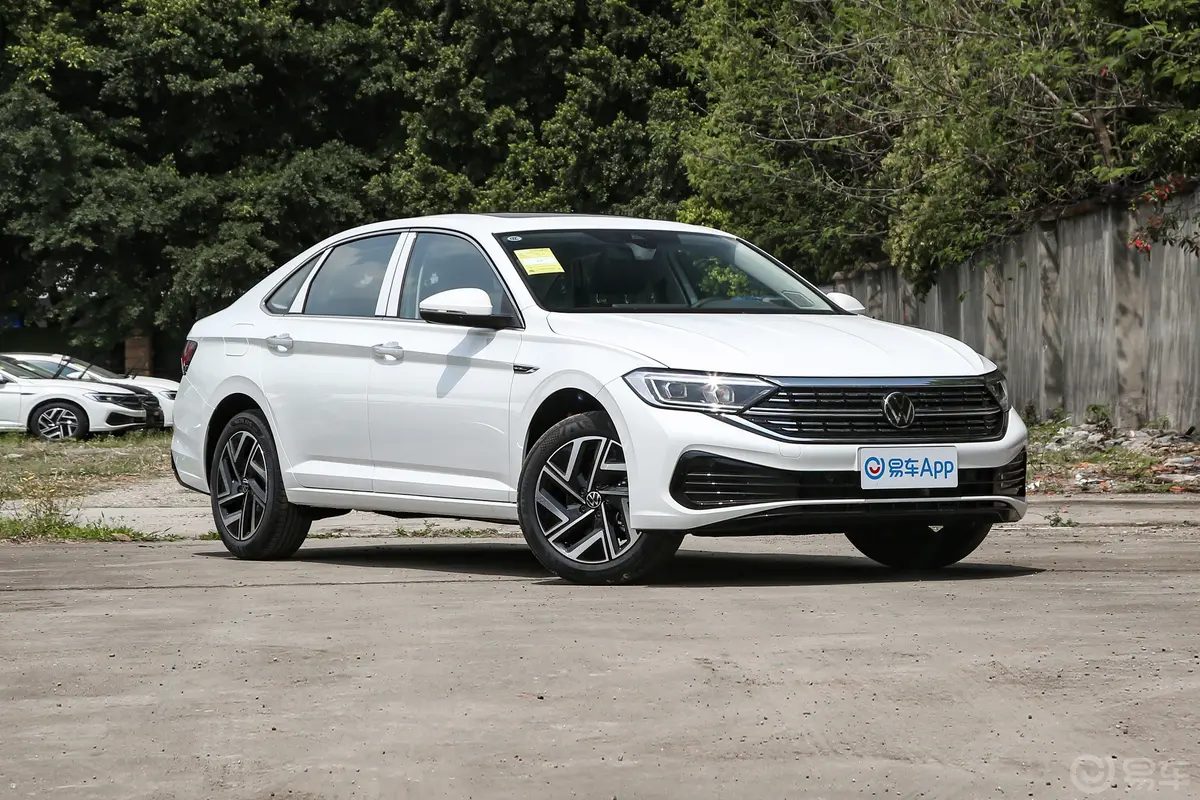 速腾200TSI 双离合超越版驾驶员侧后门把手