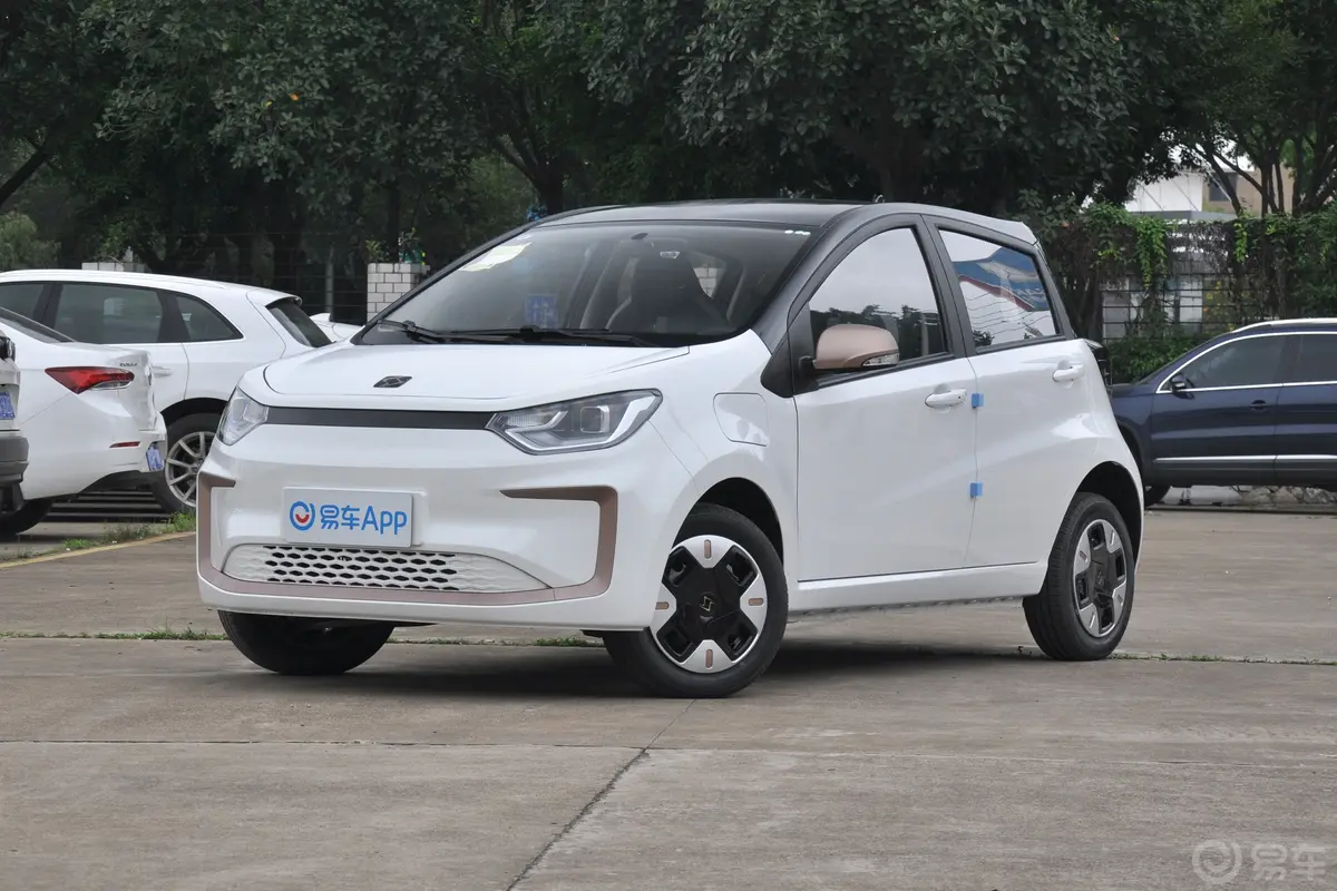 花仙子200km 薰衣草 30kW 4座侧前45度车头向左水平