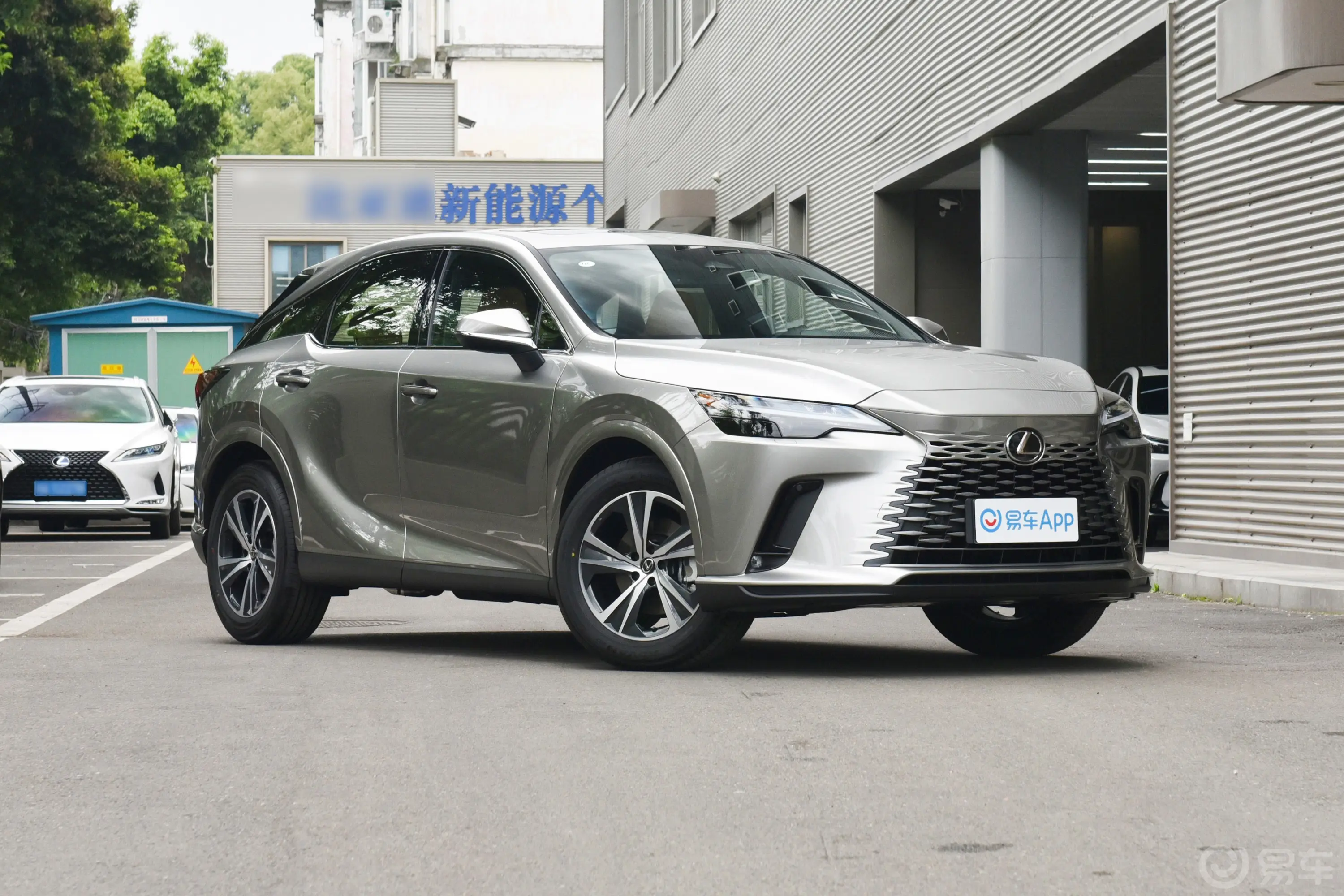 雷克萨斯RX350h 两驱悦享版