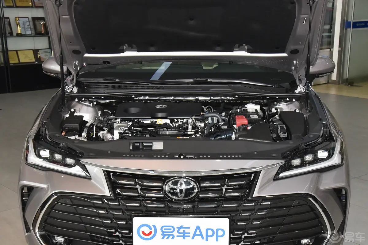 亚洲龙2.0L CVT XLE尊享版发动机舱整体