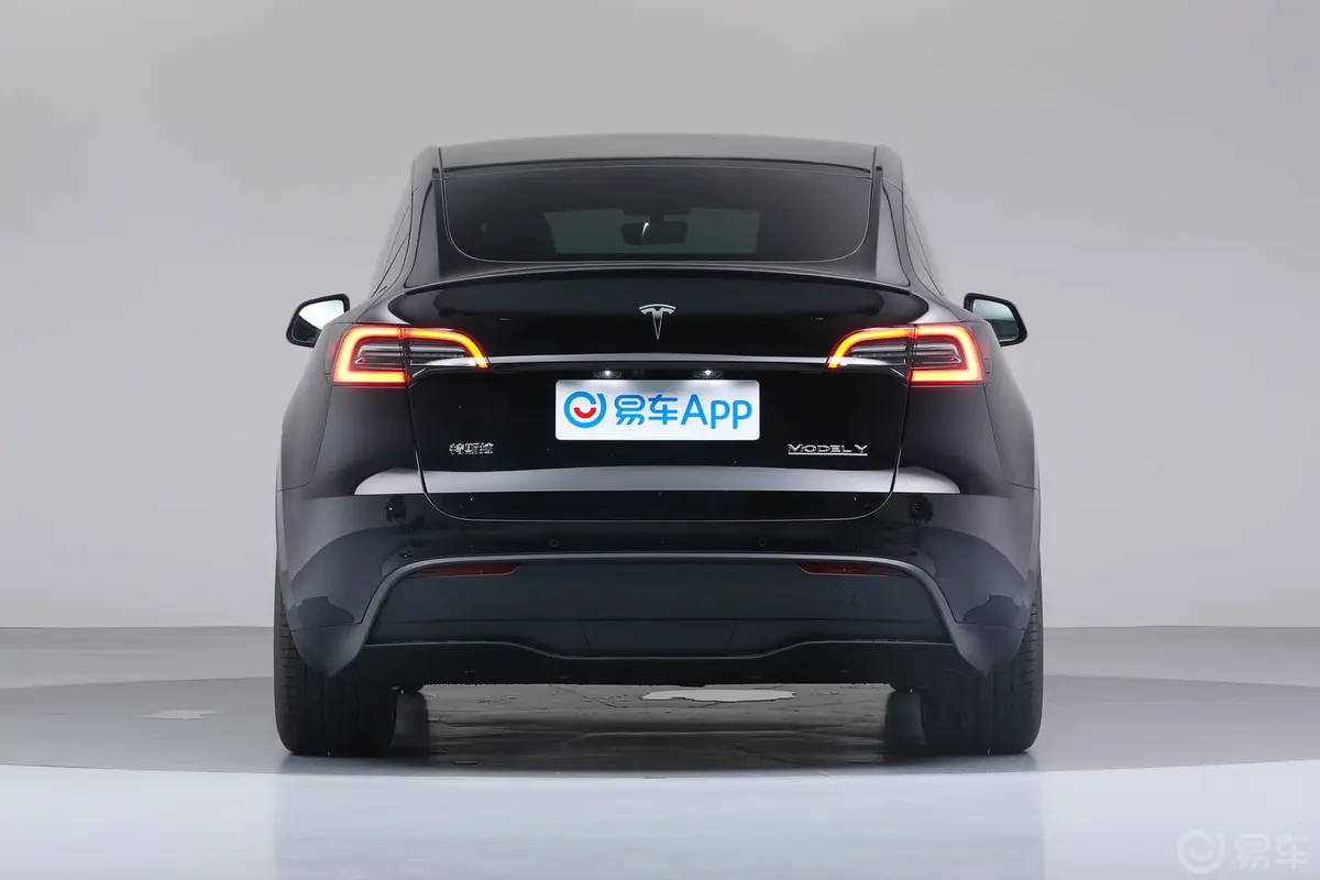 Model Y615km Performance高性能全轮驱动版正后水平