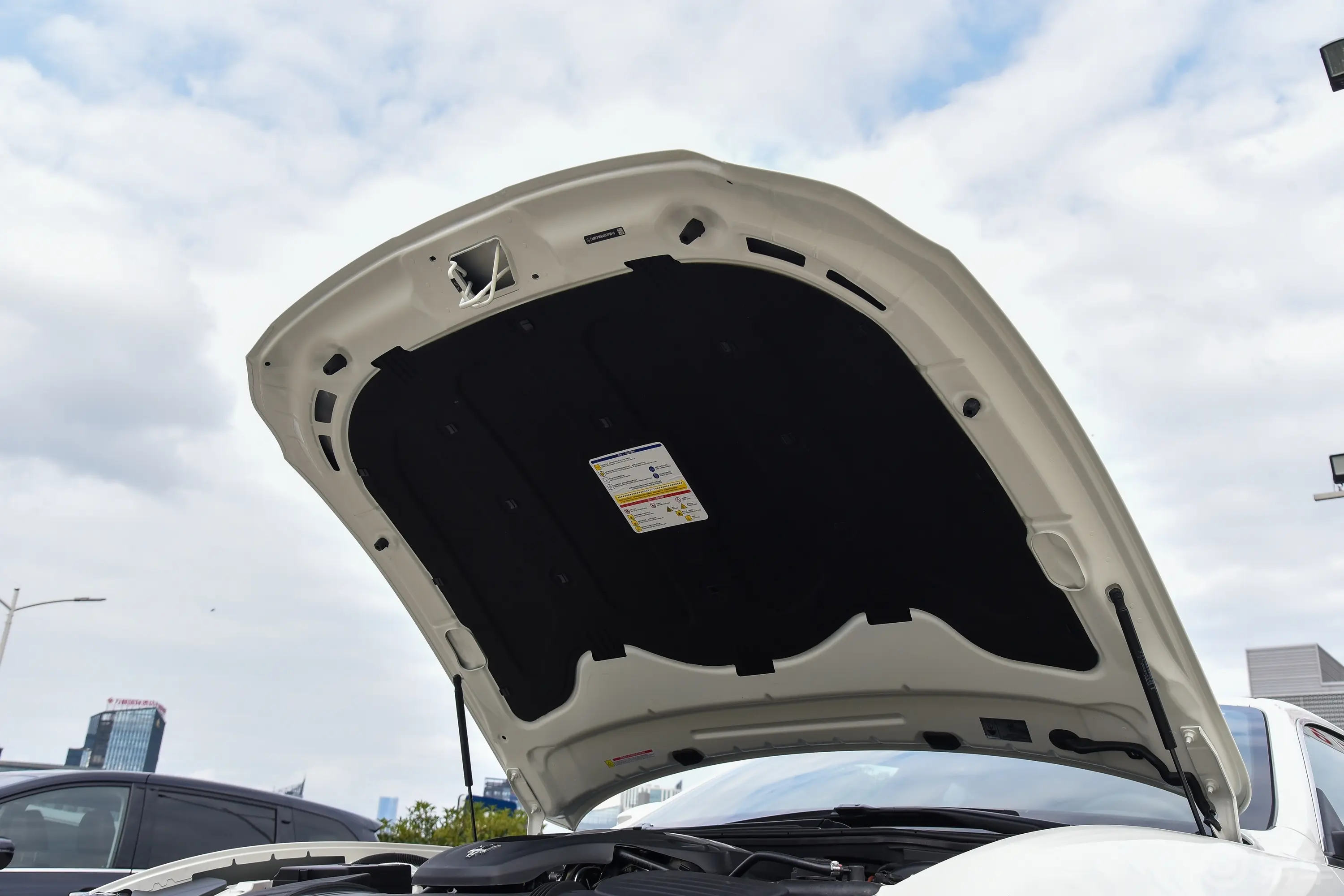 Quattroporte3.0T 标准版发动机舱盖内侧
