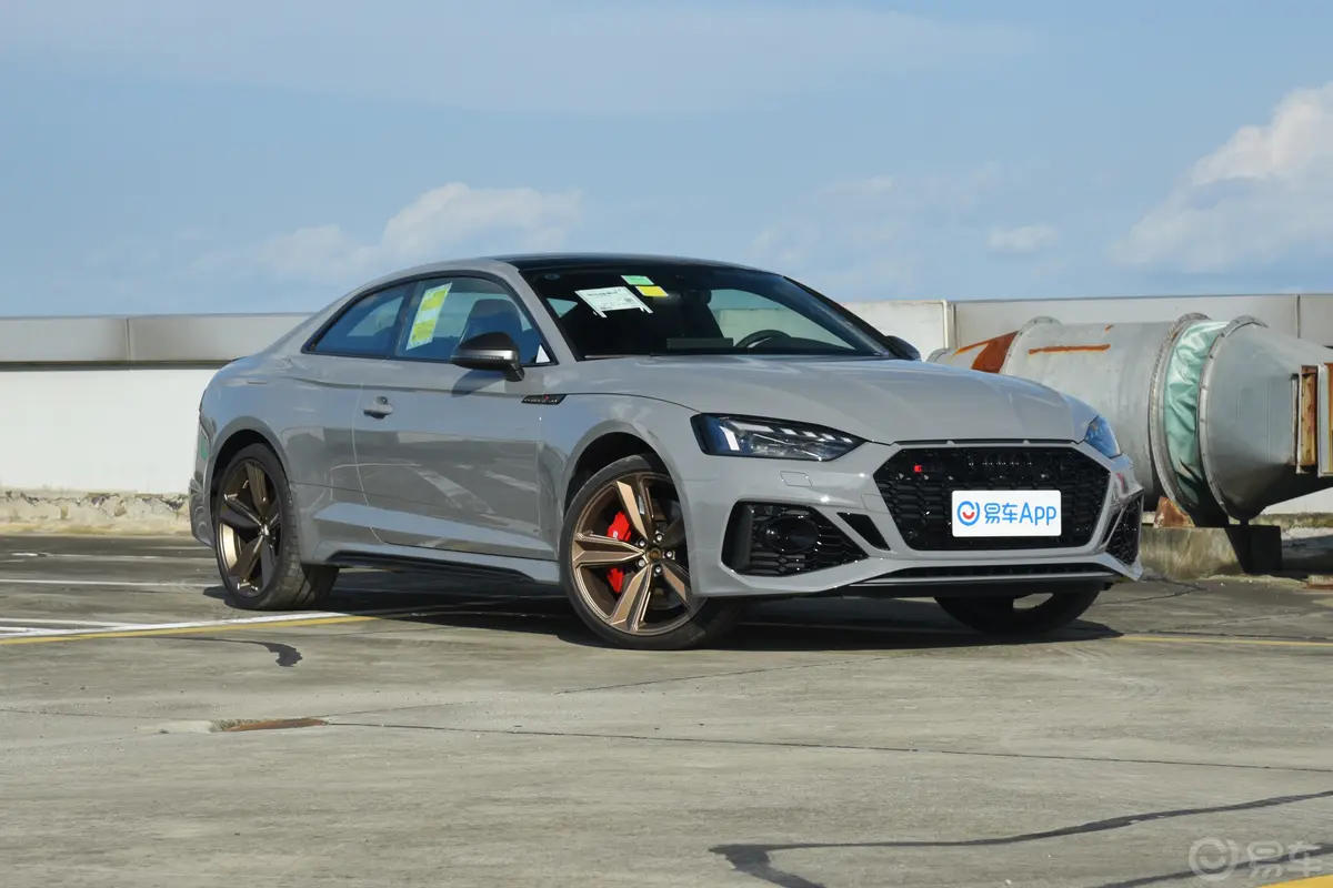 奥迪RS 52.9T Coupe 暗金版驾驶员侧前门把手