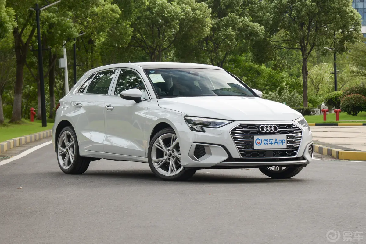 奥迪A3改款 Sportback 35 TFSI 时尚致雅型驾驶员侧后门把手