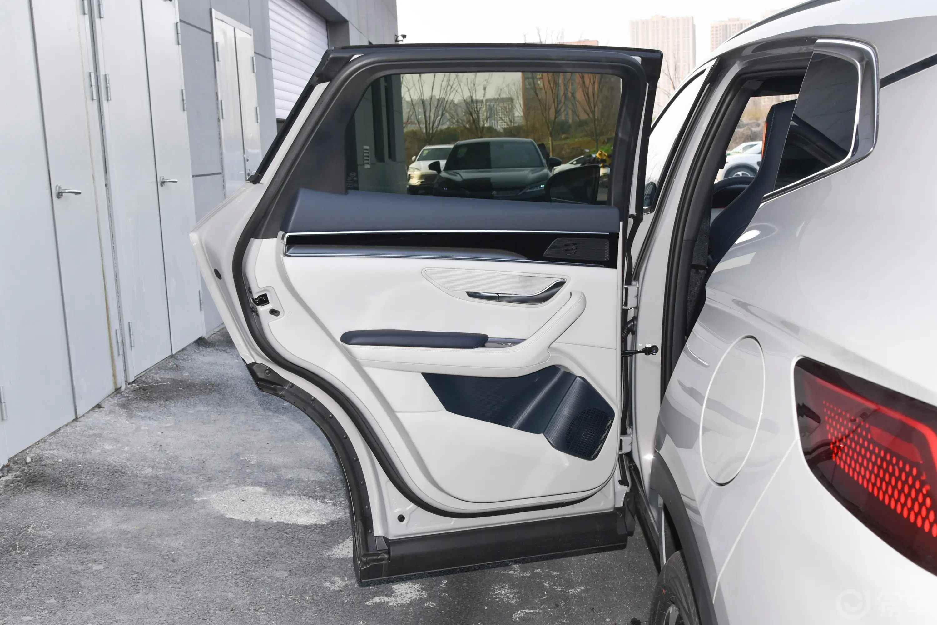 宋PLUS新能源EV 荣耀版 520km 尊贵型驾驶员侧后车门