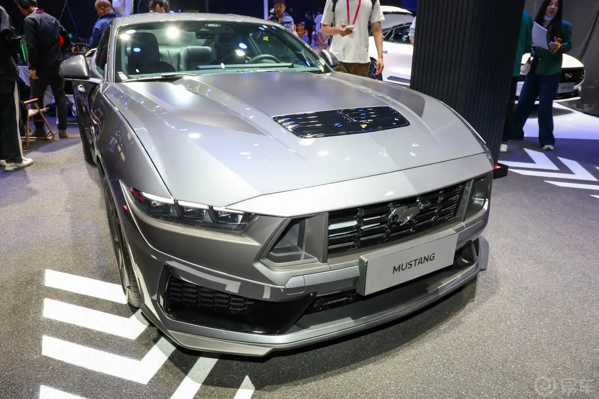 Mustang5.0L V8 Dark Horse