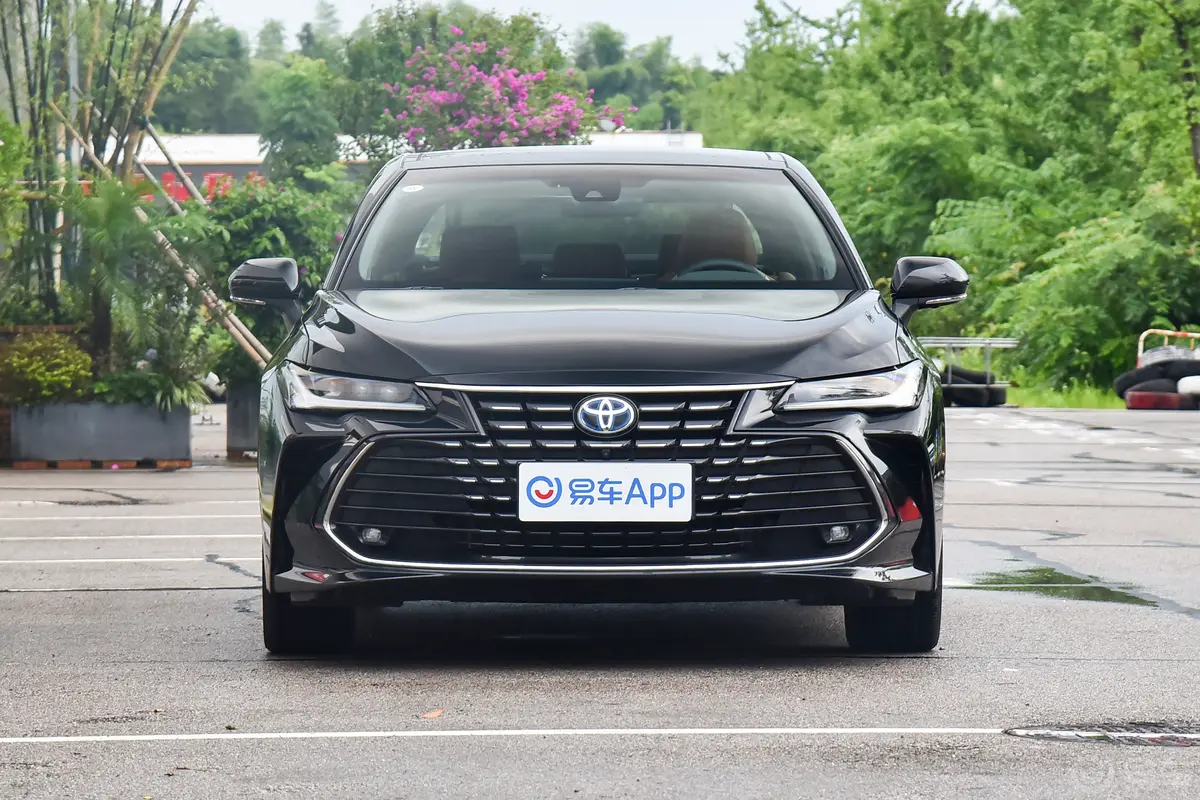 亚洲龙双擎 2.5L Limited旗舰版正前水平