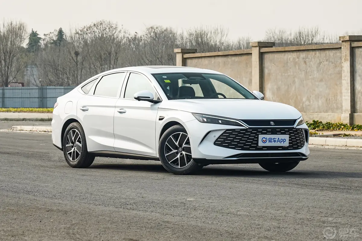 秦LDM-i 智驾版 1.5L 80km 超越型侧前45度车头向右水平