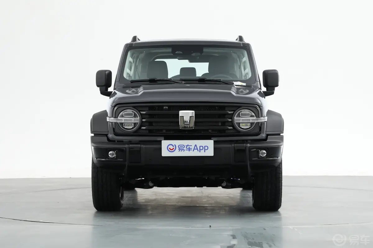 坦克300新能源2.0T Hi4-T正前水平