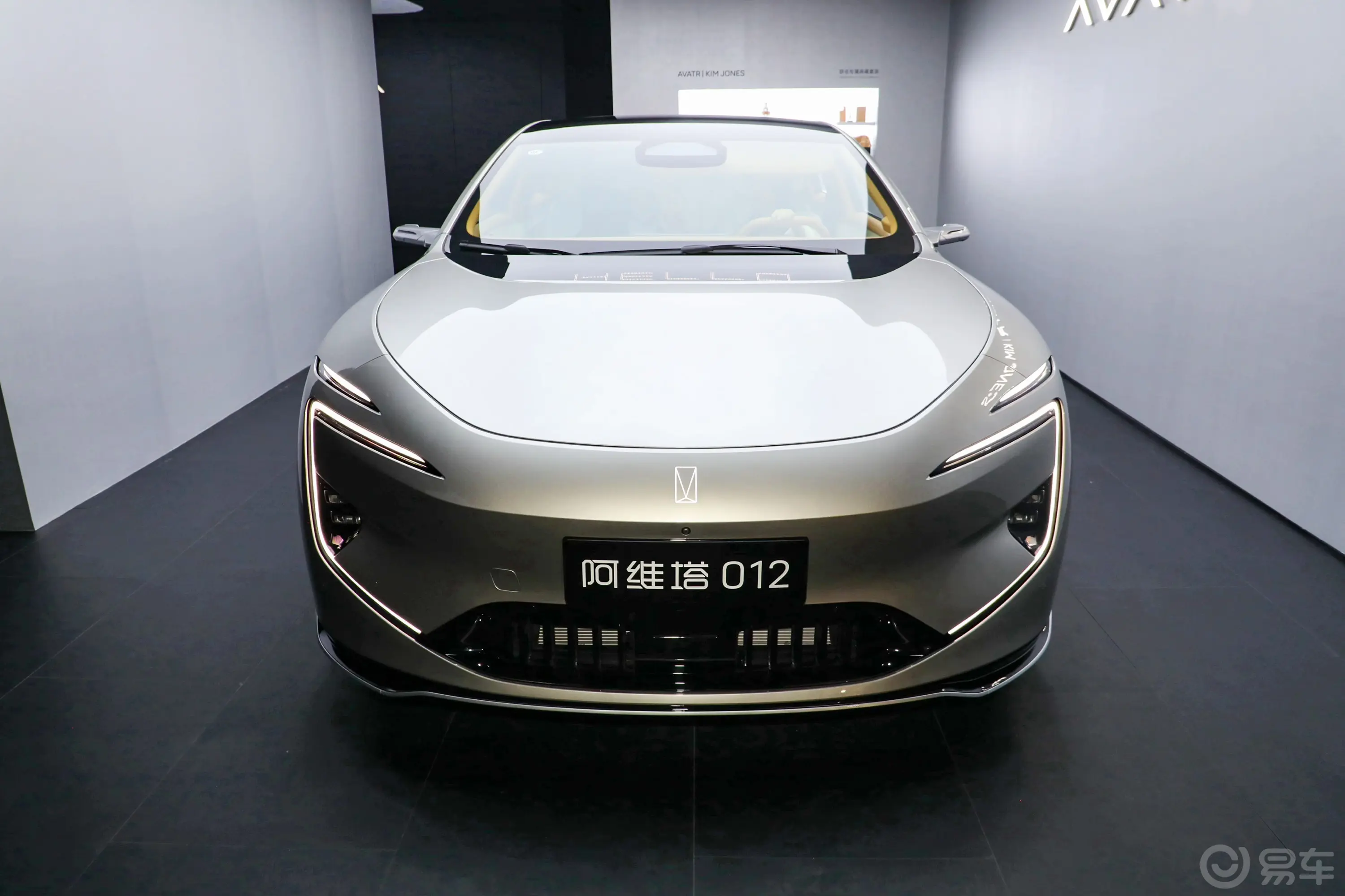 阿维塔12